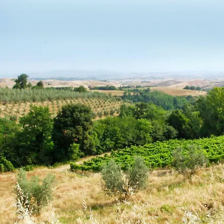 Raffaello By Interhome Lägenhet Montaione